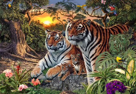 Hidden Images – Tigers