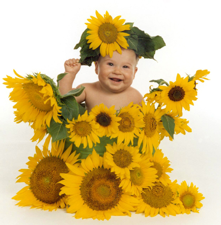 Sunflower Kid