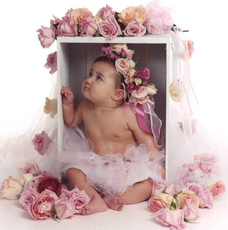 Baby Sitting in Flower Box