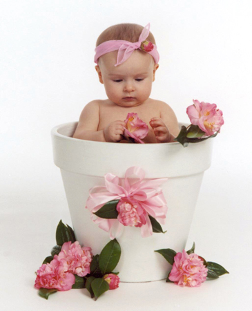 Flowerpot Toddler