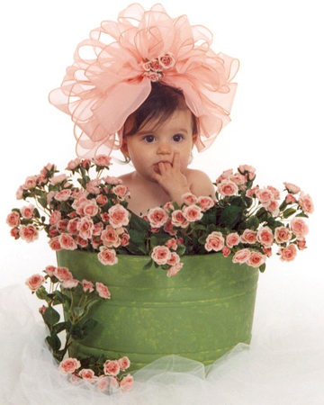 Baby Bouquet