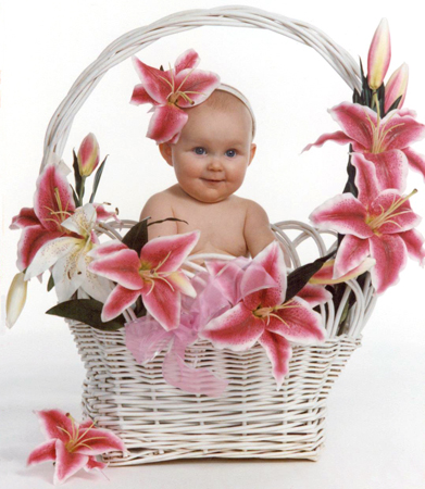 Lily Basket