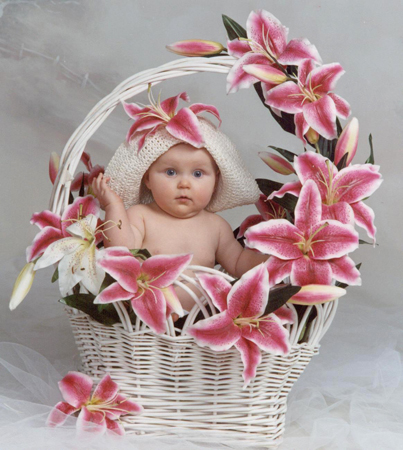 Pretty Lily Basket