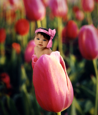 Baby in Pink Tulip