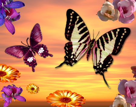 Butterfly Sunset