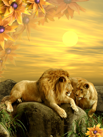 Lions In Love