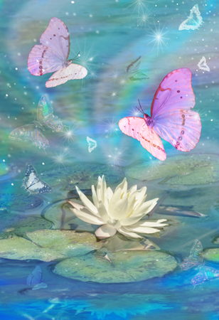 Lotus Butterfly