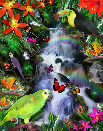 Rainbow Rainforest