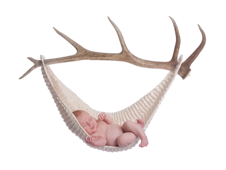 Horn Hammock