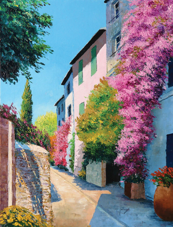 Bougainvillea in Grimaud