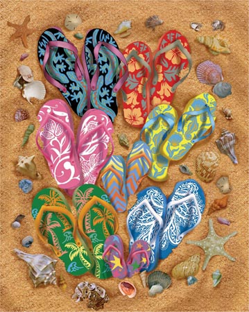 Flip Flop Frenzy