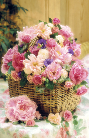 Bloom in Woven Basket F118