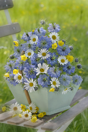 Daisies and Buttercups F485