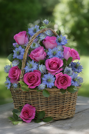 Rose & Nigella Bloom