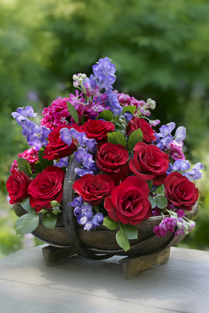 Red Rose Garden Bloom