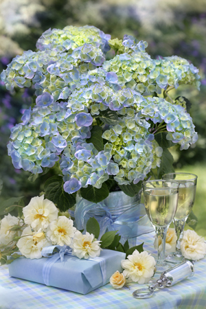 Blue Hydrangea F496