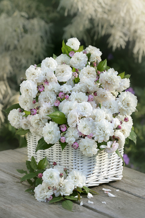 White Basket Bouquet F502