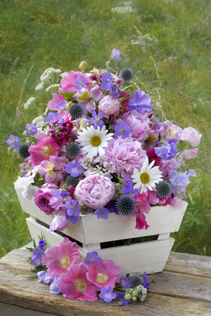 Meadow Bouquet F537