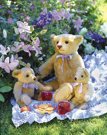 Teddy Bear Picnic T310