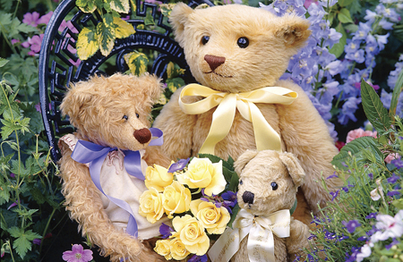 Teddy’s Bouquet T315