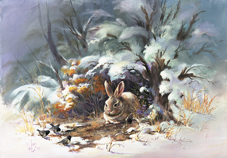 Rabbit in Winter