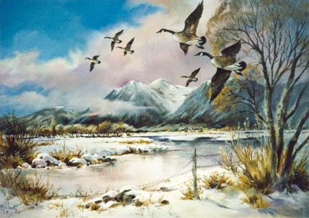 Winter Landscape