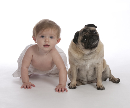 Baby & Pug MF5581