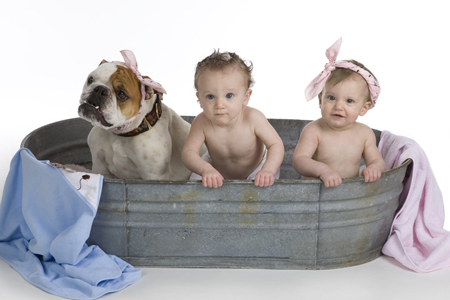 Baby Bath & Bulldog MF5369