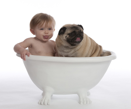 Baby Bath with Pug MF5582