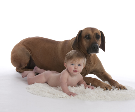 Toddler & Pet Dog MF5563