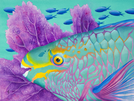 Parrotfish