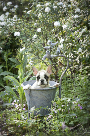 Garden Bath