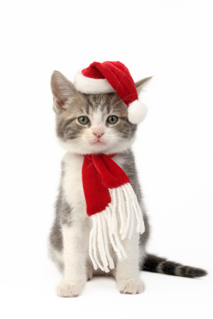 Santa Cat (C596)