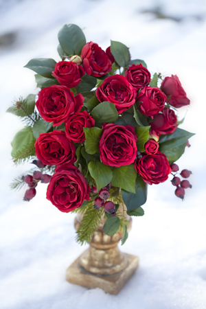 Red Roses C863