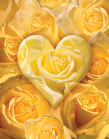 Golden Heart Of Roses