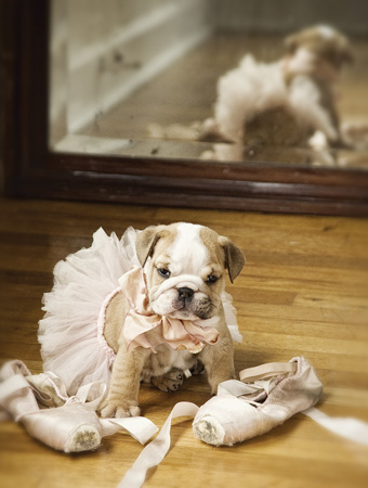 First Dance