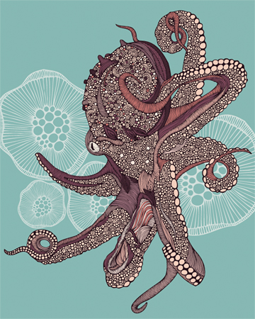 Octopus Bloom