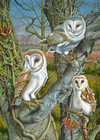 Owl Gathering