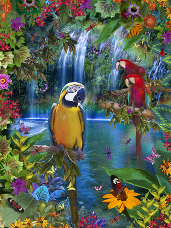 Tropical Bird Land