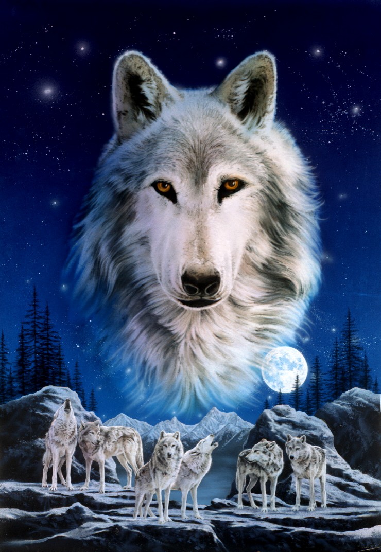 Night of the Wolves