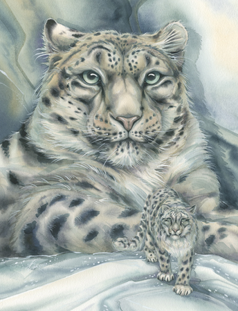 Snow Leopard Portrait