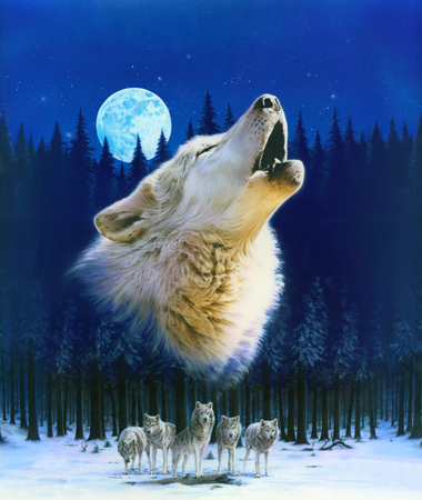 Howling Wolf