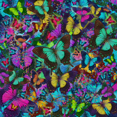 Colored Butterfly Explosion