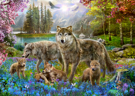 Spring Wolf Family