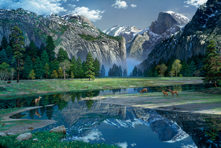 Northern California- Yosemite Spring