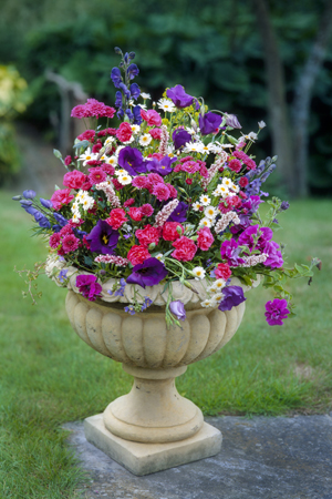 Garden Flower Pot F783