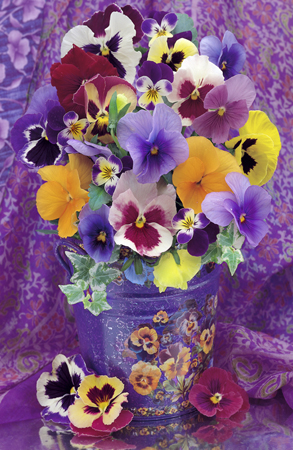 Pansy Flower Bouquet F109