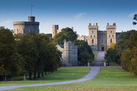 The Long Walk, Windsor Castle LDN144