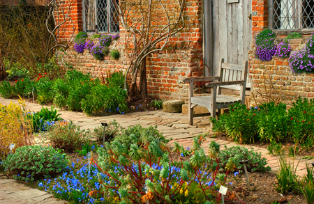 Aubretia on Country House g130