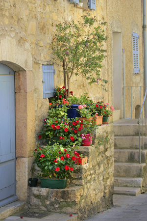 Geranium Pots G176